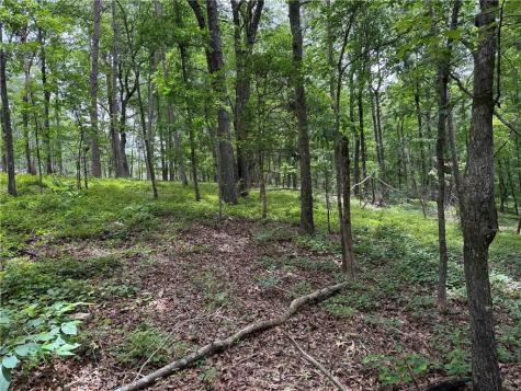 17 Norton Trail Dahlonega GA 30533