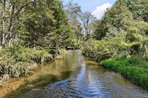 7925 State Highway 60 Suches GA 30572