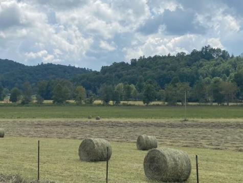 7925 State Highway 60 Suches GA 30572