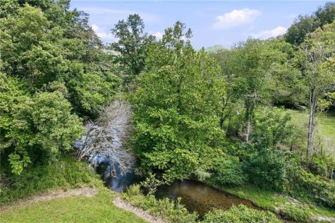 7925 State Highway 60 Suches GA 30572