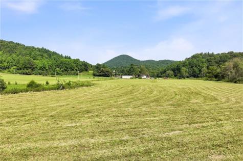 7925 State Highway 60 Suches GA 30572