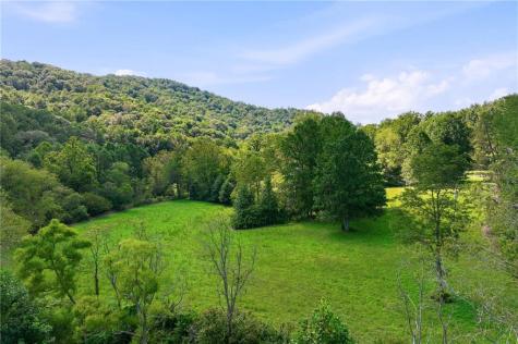 7925 State Highway 60 Suches GA 30572