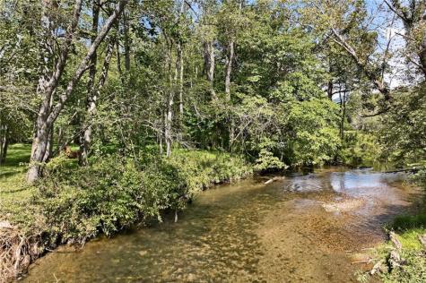 7925 State Highway 60 Suches GA 30572