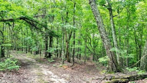 Trt A Cascade Drive Jasper GA 30143