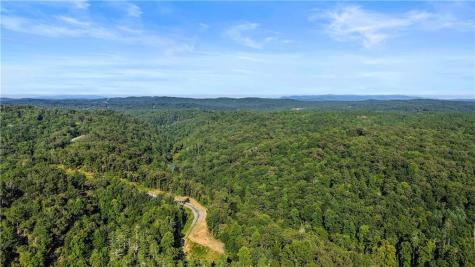 0 Elk Trail Talking Rock GA 30175