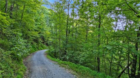 0 Elk Trail Talking Rock GA 30175
