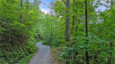 0 Elk Trail Talking Rock GA 30175