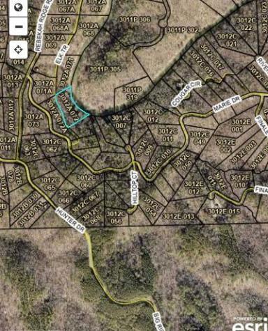 0 Elk Trail Talking Rock GA 30175