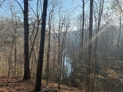0 Elk Trail Talking Rock GA 30175