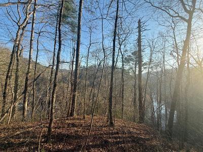 0 Elk Trail Talking Rock GA 30175