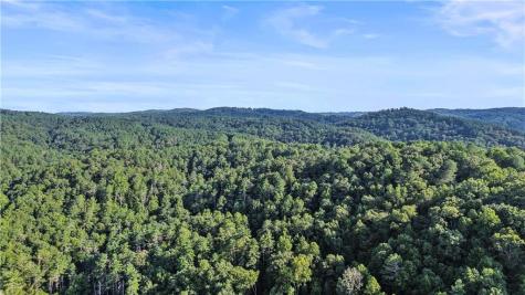 0 Elk Trail Talking Rock GA 30175