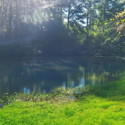 681 Mullinax Road Jasper GA 30143