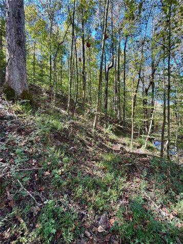 681 Mullinax Road Jasper GA 30143