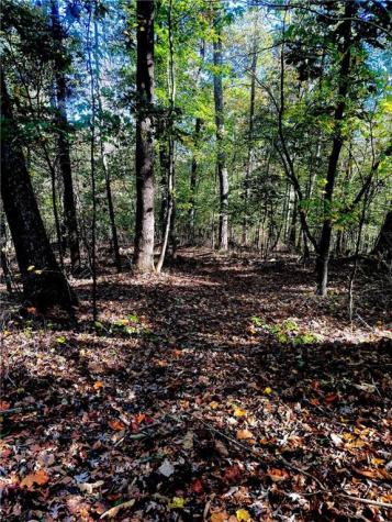681 Mullinax Road Jasper GA 30143