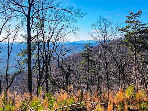 0 Coopers Gap Road Dahlonega GA 30533