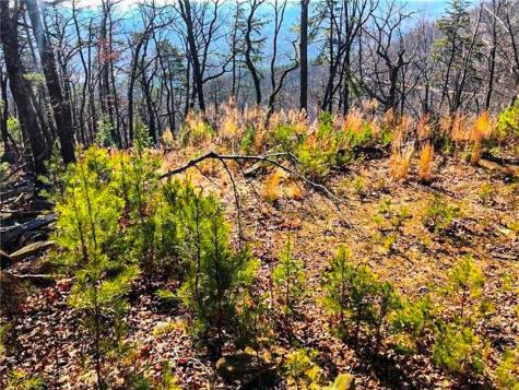 0 Coopers Gap Road Dahlonega GA 30533
