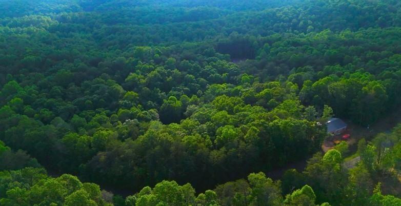 0 Nocona Trail Ellijay GA 30536