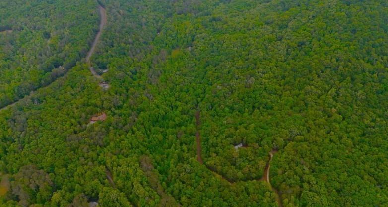0 Nocona Trail Ellijay GA 30536