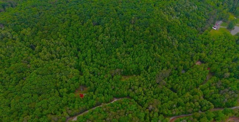 0 Nocona Trail Ellijay GA 30536