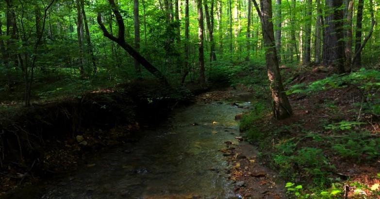 0 Nocona Trail Ellijay GA 30536