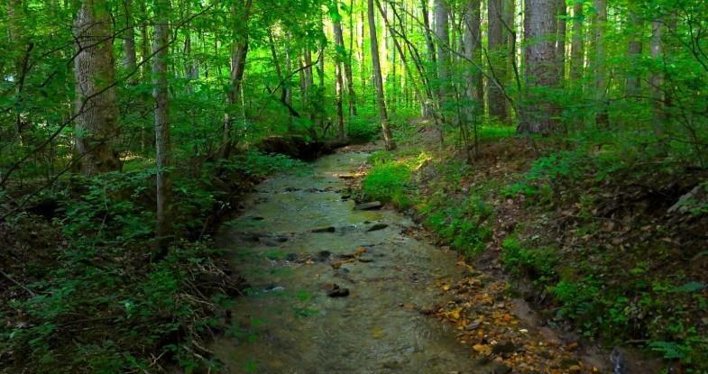 0 Nocona Trail Ellijay GA 30536
