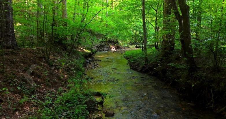 0 Nocona Trail Ellijay GA 30536