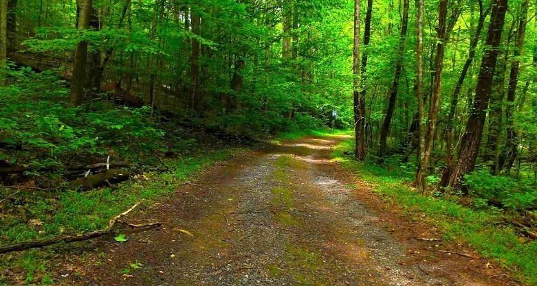 0 Nocona Trail Ellijay GA 30536