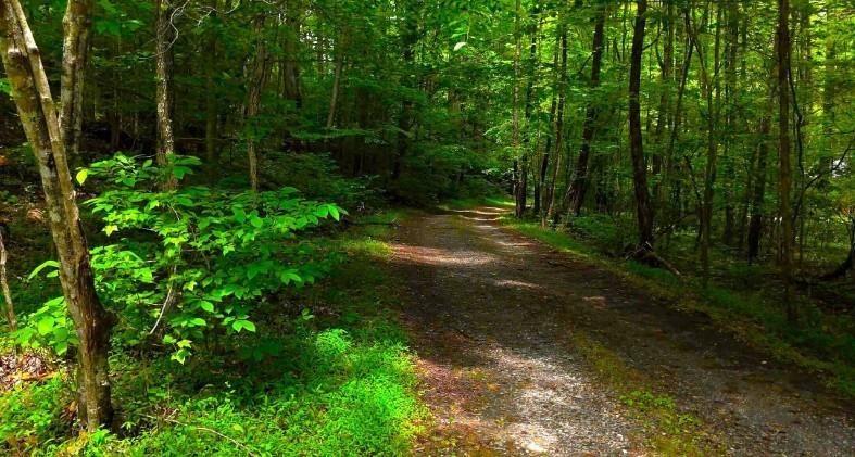 0 Nocona Trail Ellijay GA 30536