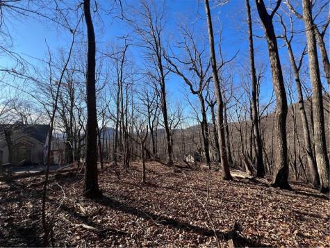 4548 Sassafras Mountain Trail Jasper GA 30143