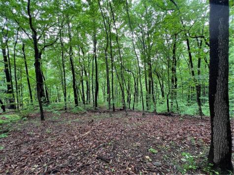4548 Sassafras Mountain Trail Jasper GA 30143