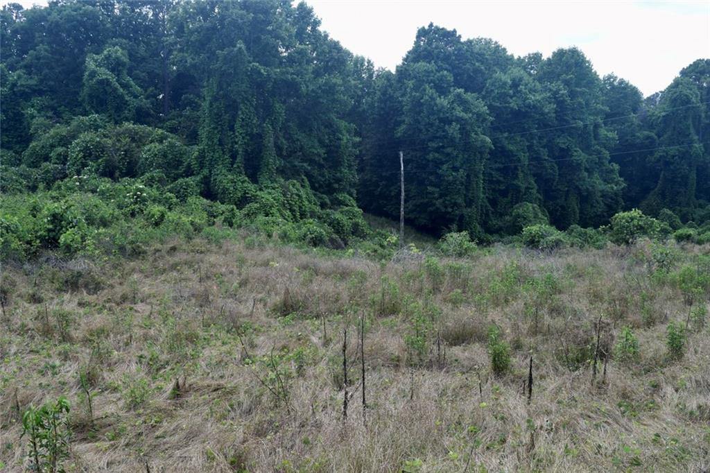 792 Lower Dowda Mill Road Jasper GA 30143