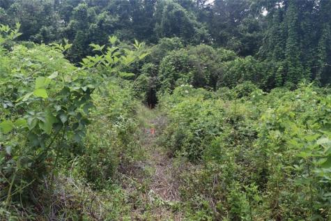 792 Lower Dowda Mill Road Jasper GA 30143