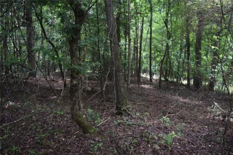792 Lower Dowda Mill Road Jasper GA 30143