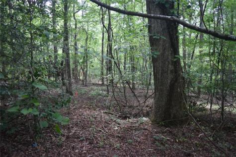 792 Lower Dowda Mill Road Jasper GA 30143