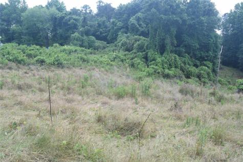 792 Lower Dowda Mill Road Jasper GA 30143