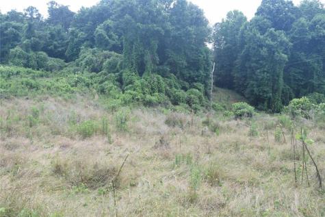 792 Lower Dowda Mill Road Jasper GA 30143