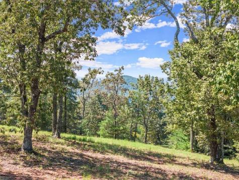 0 Helton Road Cleveland GA 30528
