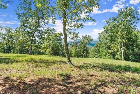 0 Helton Road Cleveland GA 30528