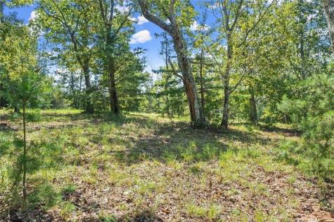 0 Helton Road Cleveland GA 30528