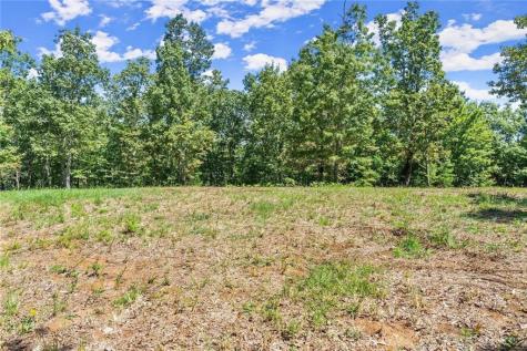 0 Helton Road Cleveland GA 30528