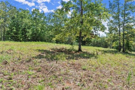 0 Helton Road Cleveland GA 30528