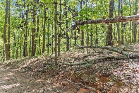 0 Helton Road Cleveland GA 30528
