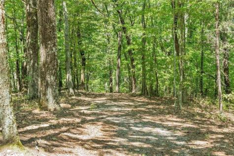 0 Helton Road Cleveland GA 30528
