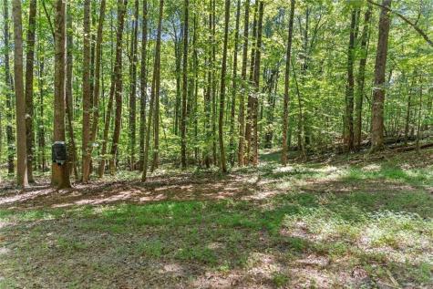 0 Helton Road Cleveland GA 30528