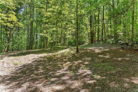 0 Helton Road Cleveland GA 30528
