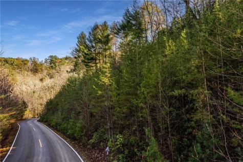 5574 Red Fox Drive Big Canoe GA 30143