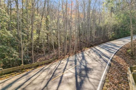 5574 Red Fox Drive Big Canoe GA 30143