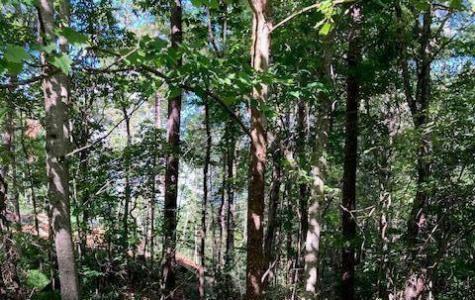 0 Red Oak Trail Ellijay GA 30540