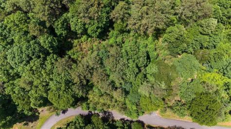 Lot 60 Meadow Brooke Drive Young Harris GA 30582