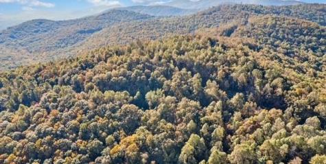 Lot 02 Upper Sassafras Parkway Jasper GA 30143
